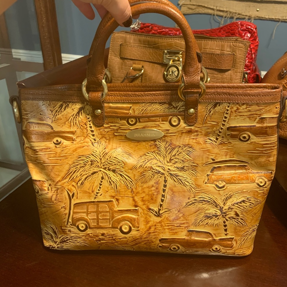 Brahmin Purse